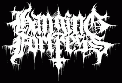 logo Hanging Fortress